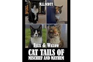 Felix & Willow cat tails of mischief and mayhem