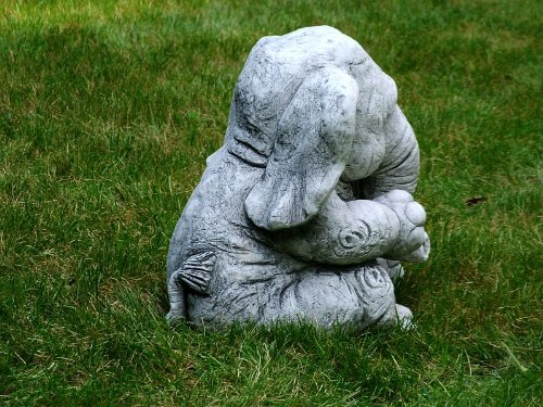 Steinfigur Elephant Elefant Benjamin 28 cm ca.15,8 kg Frostfest Stein Nr.042 - 8
