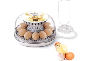 WINGFLY Inkubator Hühner Vollautomatisch, Brutmaschine 12 Eier-Brutapparat mit Display, Temperaturregelung Ei Inkubation Hatcher für Hühnergans, Ente, Taube, Wachtel, Vogel (12 Eier)