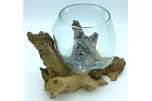 EXOTICA-IMPORT Vase ou Petit Aquarium en Verre soufllé sur Racine de Bois, Hauteur Variable, Chaque pièce est Unique (Hauteur Environ 20cm). Envoi aléatoire. Vendeur Francais.