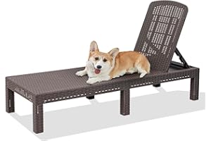 RAPTAVIS Outdoor Lounge Chair,Pool Chaise Lounge Waterproof Sunloungers,Mocha