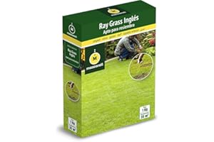 M MASCARELL SEMILLAS DESDE 1920 Mascarell Semillas, Semillas de Césped Ray-Grass Inglés, Lolium Perenne de Rápida Implantación, Ideal para Resiembra y Césped Denso, Resistencia Alta al Frío y al Pisoteo, 1kg