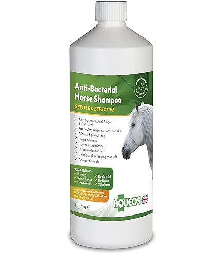 Flexalan Lanolised Leather Dressing - 500ml : Amazon.co.uk: Pet Supplies Flexalan Lanolised Leather Dressing - 500ml : Amazon.co.uk: Pet Supplies