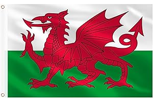 AhfuLife Welsh Flag 5ft x 3ft for St.David's Day Decorations, 1Pcs Large Wales Dragon Flag Double Side with Brass Eyelets for Rugby Football World Cup Garden Street Party Accessories