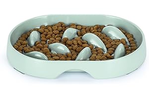 IDOGCHEW Gamelle Anti Glouton Chat, Bol Ludique Anti Vomissement pour Chat Glouton, Plat Régime avec Base Antidérapante pour Chaton Manger Lentement, Ovale, Vert Clair