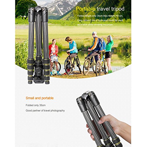 Andoer OBO Fibra de Carbon Trípode Unipod Monópode de Cámara con Cabeza de Bola Ballhead para Canon 760D 7D2 5D2 70D 5DS 5DSR Nikon D750 D610 D7200 D5500 D810 para Sony A7 A7S A7R A7RII