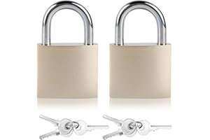 QIXINGYL 2 Pcs Cadenas à Clés de Sécurité 38mm - Clés Identiques pour Valises, Casiers, Portes de Gym, Garages, Ateliers et Bagages