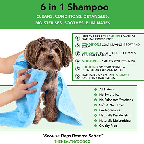 6-in-1-All-Natural-Dog-Shampoo-Lemongrass-Rosemary-Tea-Tree-500ml-The-Best-Wash-for-Healthy-Dogs-Cleans-Conditions-Detangles-Moisturises-Relieves-Itchiness-Eliminates-Germs-Smells