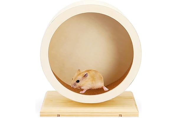 Roue d'exercice en Bois ø 18 cm - Surface de Course en liège antidérapante - Silencieuse avec roulement à Billes - Bois Naturel Non traité - 15,5 x 10 x 18 cm