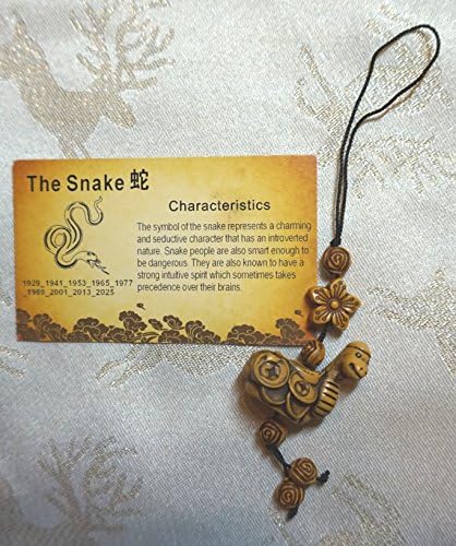 CHINESE NEW YEAR LUCKY SNAKE FENG SHUI CHARM WITH BEADED CORD AND CHARACTERISTIC CARD