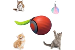 AFGQIANG Speedy Tail 2.0 – Jouet interactif pour chat d'intérieur – Balle à mouvement automatique – Rechargeable par USB – Deux vitesses de réglage – Avec queue de rechange – Orange