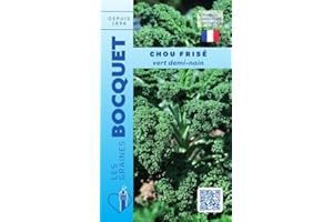 Sachet de graines de Chou frisé vert demi nain (Chou Kale) - 3 g - légume feuille - LES GRAINES BOCQUET