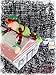 SPARKLE magic naughty shelf elf soft plush toy teddy christmas santa believe gift
