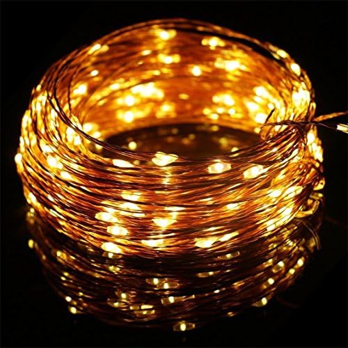 FFNW 10M Copper Wire String Led Fairy Lights 100 LEDs Starry Lights for Bedroom, Garden, Patio, Wedding, Fence,Indoor, Outdoor (Warm White, Power Adapter Included)