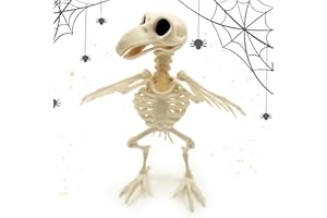 XIMEY Esqueleto de Cuervo, Esqueleto de Cuervo de Plastico, Esqueletos de Animales, Cuervo Huesos Esqueleto, Esqueleto Decoracion de Halloween para Fiesta de Halloween, Casa Embrujada