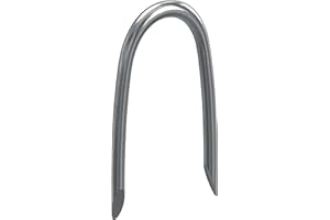 NIMA PARTS Lot de 100 crampons en acier - 2,5 x 12 x 25 mm - Fabriqué en Allemagne - Antirouille, acier galvanisé - Pinces pour clôture, fixation de clôture en treillis, fixation de clôture en lattis