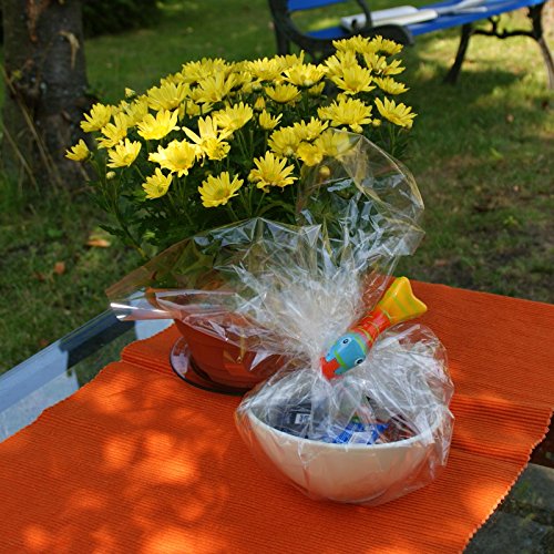 O2COOL Flip Flop Boca Clip - 4