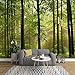 Produktbild NXMRN Wallpaper Tapete Plakat Poster Fototapete Wandbild Moderne 3D Primär Wald Natur Landschaft Wandmalerei Wohnzimmer Sofa Kulisse s Für Wände 3D 150cmx100cm