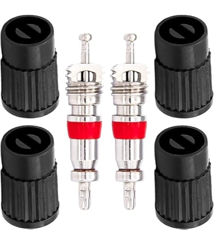 Ensemble De 10 Pièces Noyaux De Noyau De Valve 2X Bouchons De