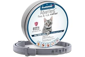 ADVANLLENT Flea Collar for Cats, Flea and Tick Collar for Cats and Kitten, One Size Fits All, 15.5 inch, 8 Month Protection, 1 Pack