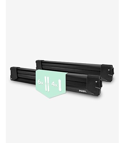 ALUSKI 8 Roof Ski Carrier for cars - forging