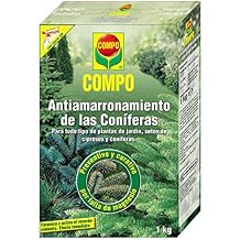 Amazon.es: COMPO