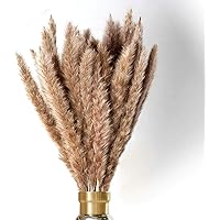 AideMeng 30 Stück Pampasgras Deko- Hochwertig [Hingucker]| Trockenblumenstrauß Getrocknete Blumen- Groß Haltbar…