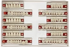 CEONAM 84 completos de resina acrílica dentada, 3 juegos de dientes enteros de polímero sintético, 23 tonos A2 superior + inferior materiales dentales para reemplazo, bricolaje o Halloween