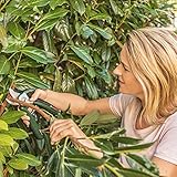 rebschere akku Einfaches Aufladen: Dank dem USB-Mikrokabel kann die Akku Gartenschere überall aufgeladen werden. Die Leuchte zeigt an, wenn der Akku vollständig geladen ist