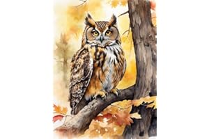Amiiba Kreuzstich Set Vorgedruckt für Erwachsene Anfänger, Eulen Baumvögel 11ct Stickset Stickpackungen
