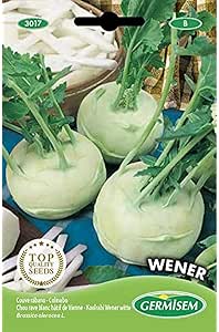 Germisem Kohlrabi WENER WHITE