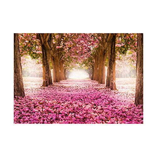 FOTOTAPETE Allee rosa – KOMPLETT SET MIT KLEISTER – XXL 400×280 CM PREMIUM VLIES TAPETE – PROFI QUALITÄT (Keine Papiertapete, keine Blasenbildung) – Top moderne Wanddeko – Fototapete 3D Illusion – Riesen Wandbild – Top Design Tapete – Neue exklusvie Edition mit noch besser Druckauflösung – Deutsches Premium Vlies (Kein Import Vlies oder PVC), Schlafzimmer, Wohnzimmer, Kinderzimmer geeignet. FOA0010a84XL - 2