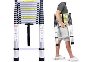 DICN Escalera telescópica de Aluminio 5 m, 13 Peldaños, Plegable, Extensible, Fácil de Transportar, para Constructores de Bricolaje, Interiores y Exteriores