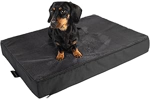 MyBestBuddy Premium Orthopaedic Dog Cushion with 8 cm Full Foam Core, Grey, 70 x 50 cm, M, Dog Mat with Fabric Cover, Washable at 40°C, Allergy Sufferers, Dog Bed for Small Dogs, 70 x 50 cm