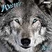 Wolves 2013. What a Wonderful World by 