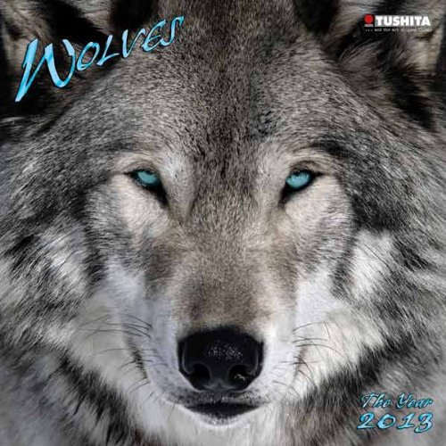 Wolves 2013. What a Wonderful World