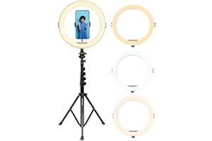 AGFAPHOTO GT Company | Aro de luz con Trípode Anillo luz Stand con una luz de teléfono Ajustable para Live Stream/Makeup/Youtube Video/Fotografía Compatible con Smartphones.