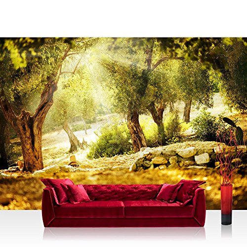 Fototapete Wald - ALLE WALDMOTIVE auf einen Blick ! Vlies PREMIUM PLUS - 200x140 cm - SUMMER TREES - Wald Sonne Steine - no. 265