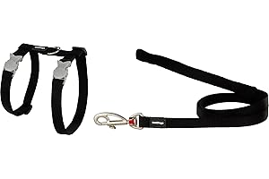 Red Dingo Laisse/Harnais pour Chat Noir Tour de Cou 21 à 35 cm Poitrail 27,5 à 47,5 cm