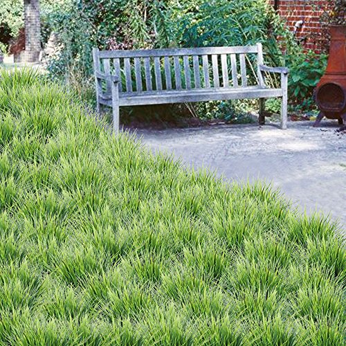 MIHOUNION 4 Bündel Gesamthöhe ca.36,5cm Grün Gras kunststoffblumen Unechtpflanzen Dekoration kunstpflanzen Realistisch Farbe aufziehen Haus Küche Wand Türen Garten Deko - 4