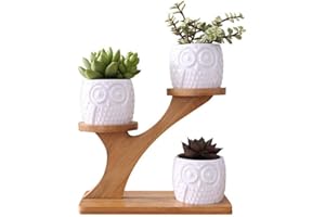 LINGLAN 1 Ensemble de chouette en céramique Pots de Fleur de Forme Rond /et Plateau de Bambou/Pots de Cactus/Plante en Pot/Cultiver 1 Paquet de 3
