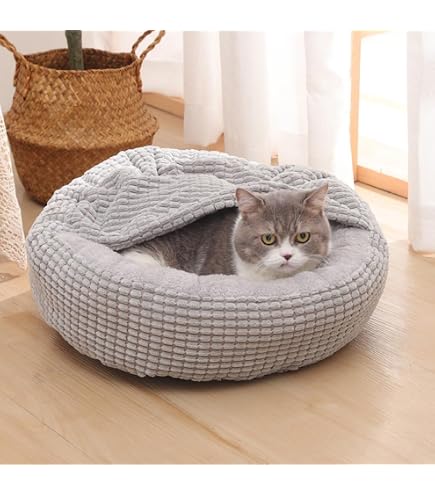PETCUTE Hundebett Rund – Mit Aufgesetzter Decke, Rutschfester Unterseite, Aus Weichem Fleece, Für Kleine & Mittlere Hunde & Katzen
