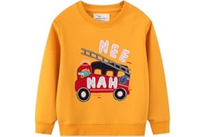 HIKIDS Niños Sudaderas Dinosaurio Suéteres para Niño Manga Larga Camiseta Cuello Redondo Ropa Niños Pequeños Tops de Invierno 2-7 Años