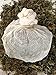 Purifying Herbal Bath (Geranium Rosat, Marjoram, Lemon Balm) Ready to use/ Mess-free bag 60g