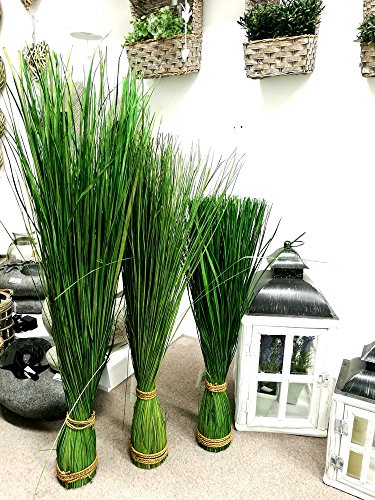 Gras Grasbündel im Garten Grasbund Deko Zweige Grasbüschel (70 cm) - 7