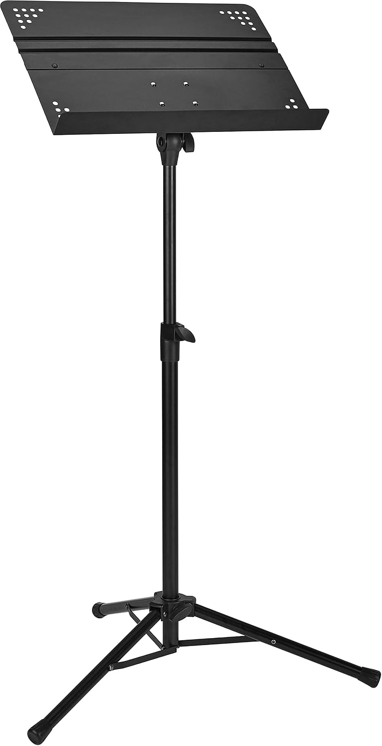 Vue 12