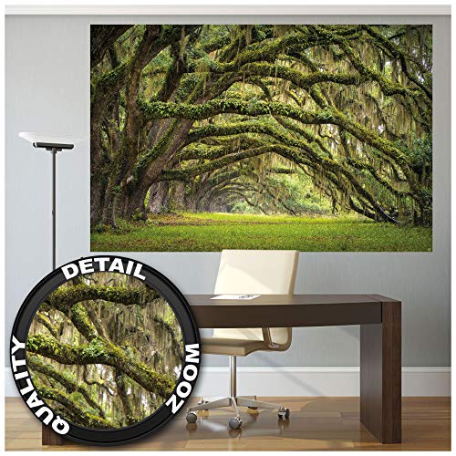 GREAT ART XXL Poster - Eichen Allee - Wandbild Dekoration Wald Natur Landschaft Sommer Forest Moos Mystik Oak Quercus Märchenwald Park Äste Foto-Tapete Wandtapete Fotoposter (140 x 100 cm)