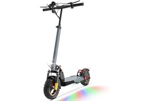 SHIZHUNIAO 10" Patinete Electrico Adultos, 48V 12.5Ah de la Batería y Motor Potente Patinete Electrico Plegable, Autonomía hasta 30KM, Velocidad Máx 25KM/H, Carga Máxima 120KG