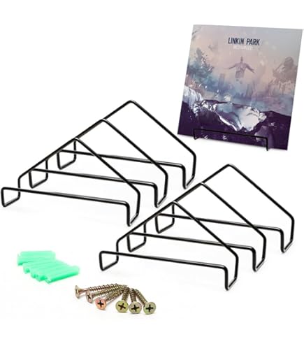 Porta Vinili Etterr In Acciaio - Per 50 Dischi, Design Moderno, Prodotto In UE, Ideale Per Collezionisti