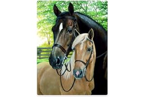 Violetpos 150 x 200 cm, flanelowy koc, miękki koc polarowy, koc do przytulania, delikatna narzuta na łóżko, 2 konie, las, gospodarstwo rolne